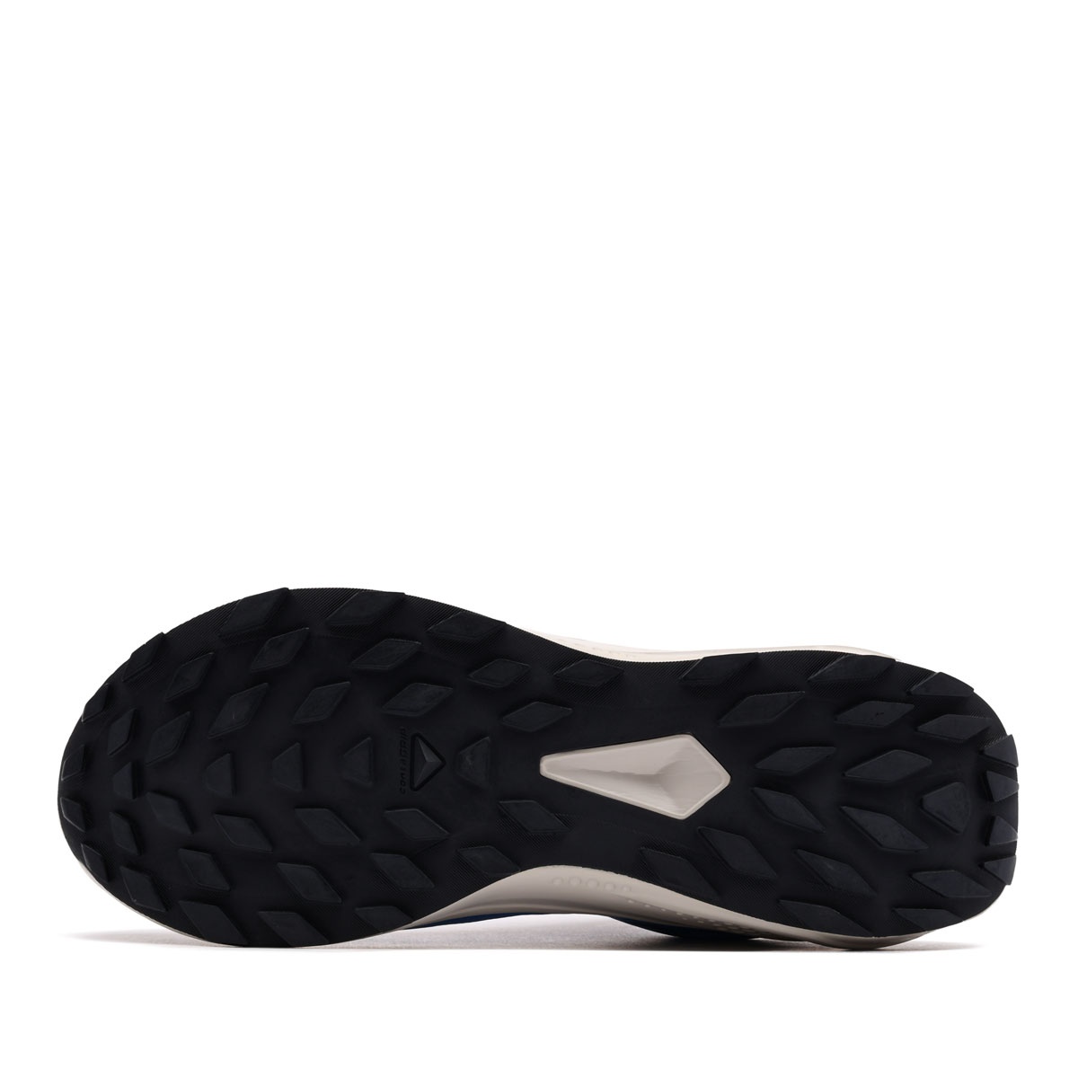 Salomon Alphaglide Gore-Tex Adidași bărbați 479751