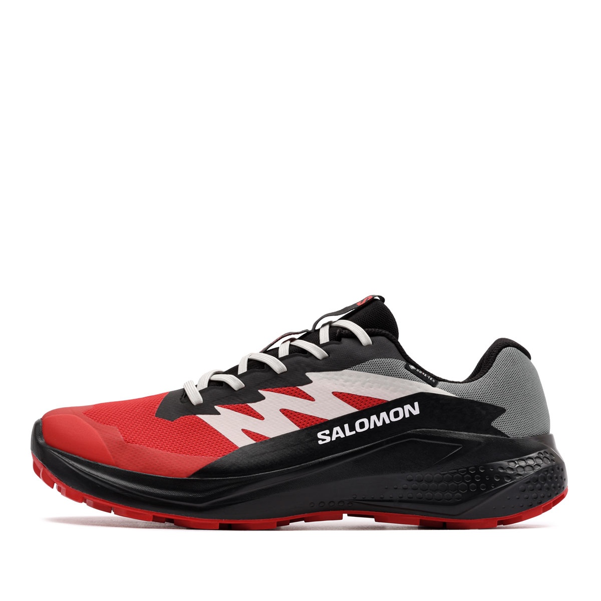 Salomon Alphaglide Gore-Tex Adidași bărbați 479752