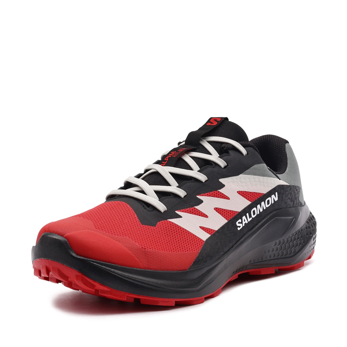 Salomon Alphaglide Gore-Tex Adidași bărbați 479752