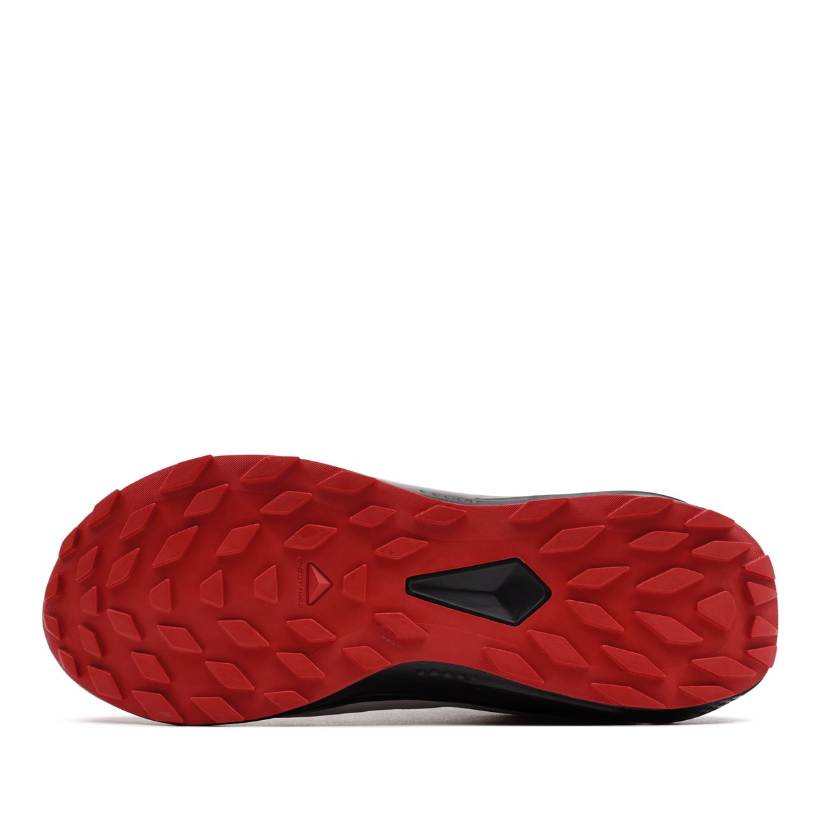 Salomon Alphaglide Gore-Tex Adidași bărbați 479752