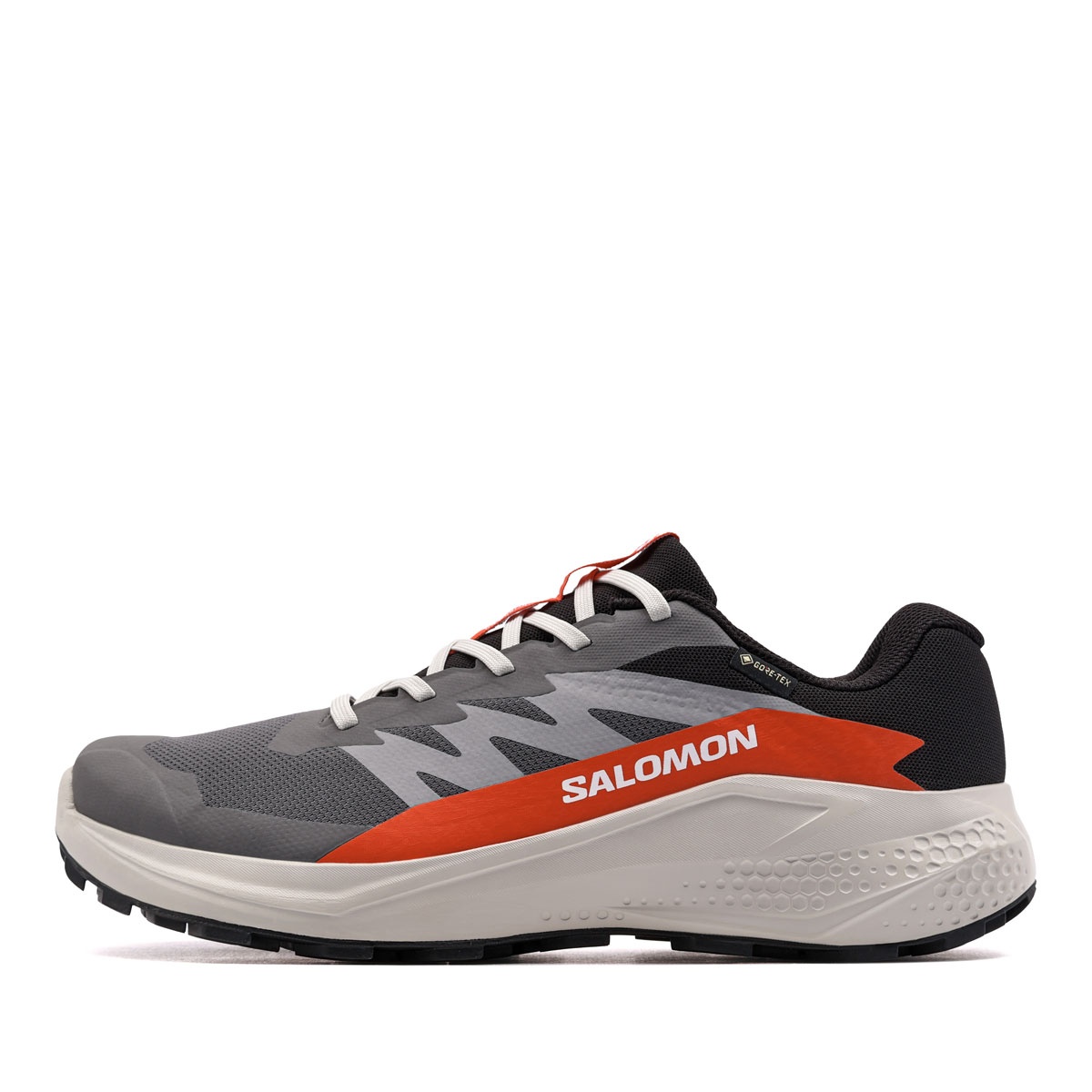 Salomon Alphaglide Gore-Tex Adidași bărbați 479753