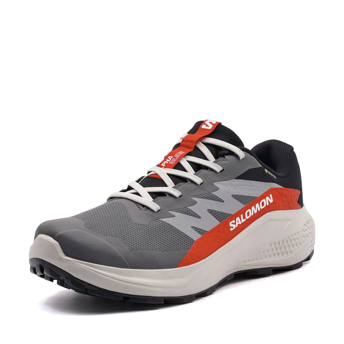 Salomon Alphaglide Gore-Tex Adidași bărbați 479753