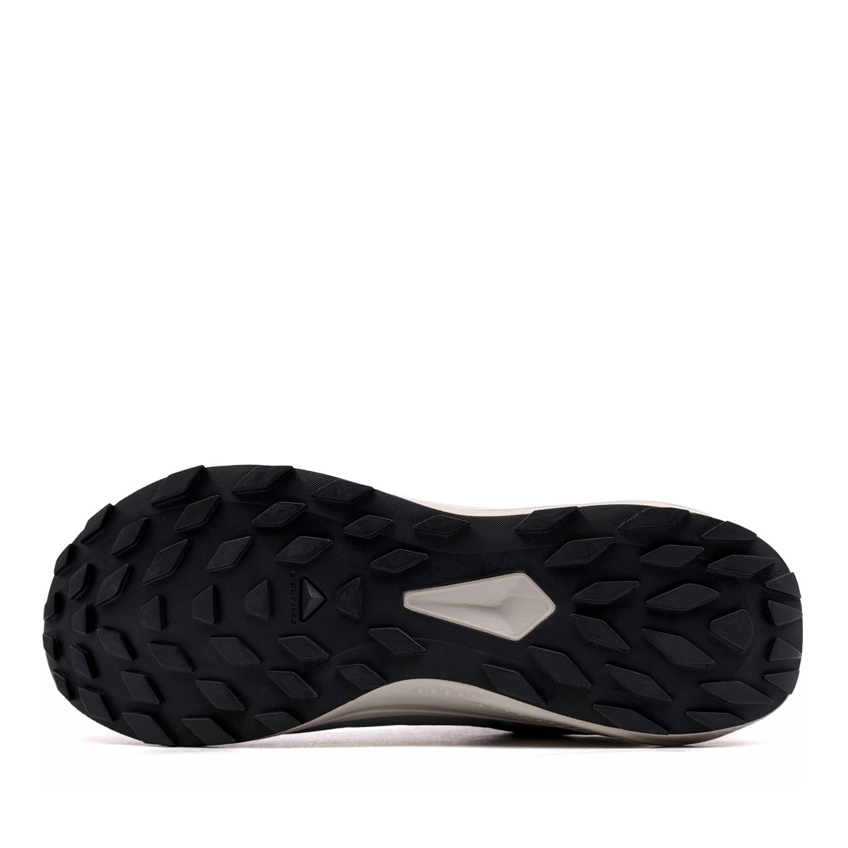 Salomon Alphaglide Gore-Tex Adidași bărbați 479753