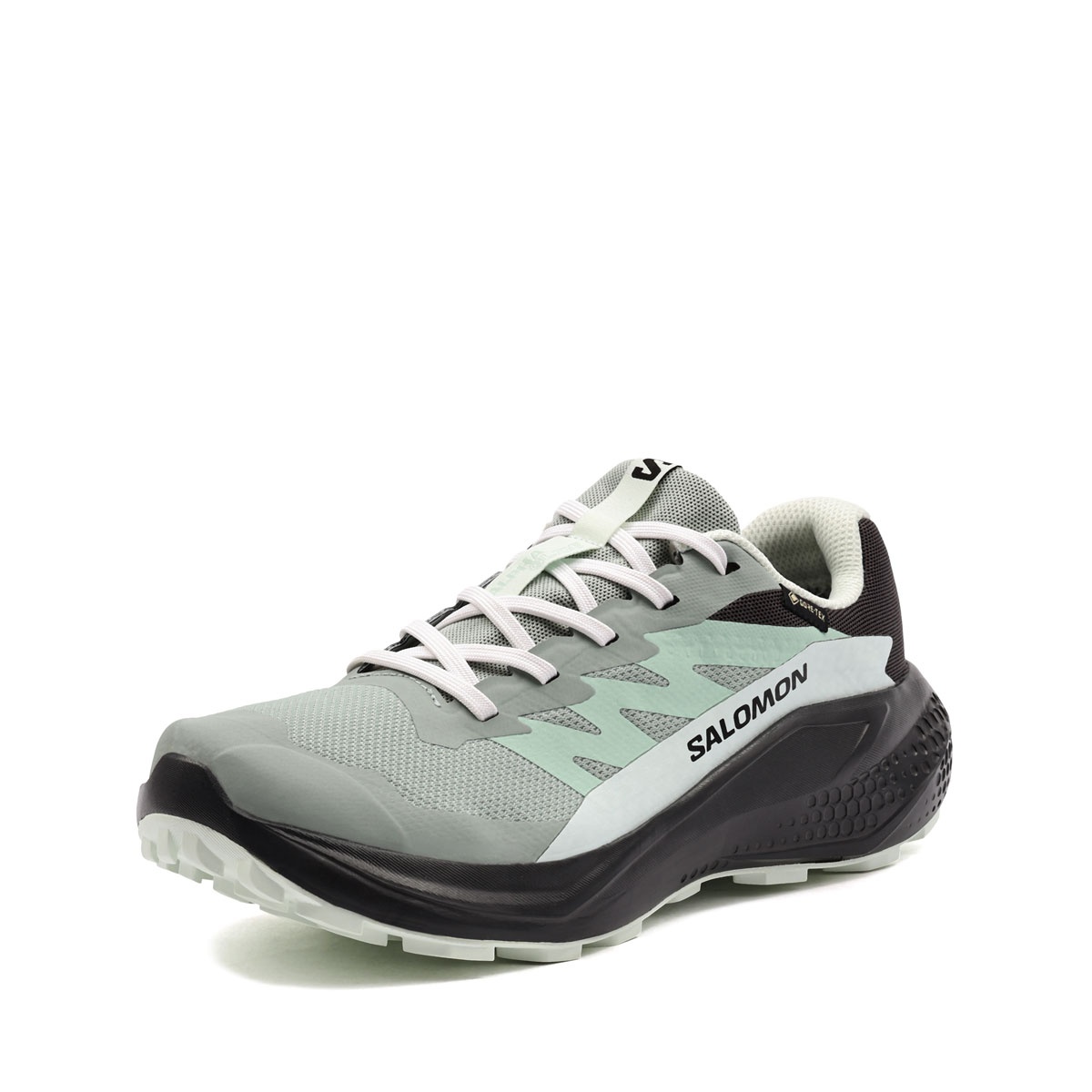 Salomon Alphaglide Gore-Tex Adidași damă 491425