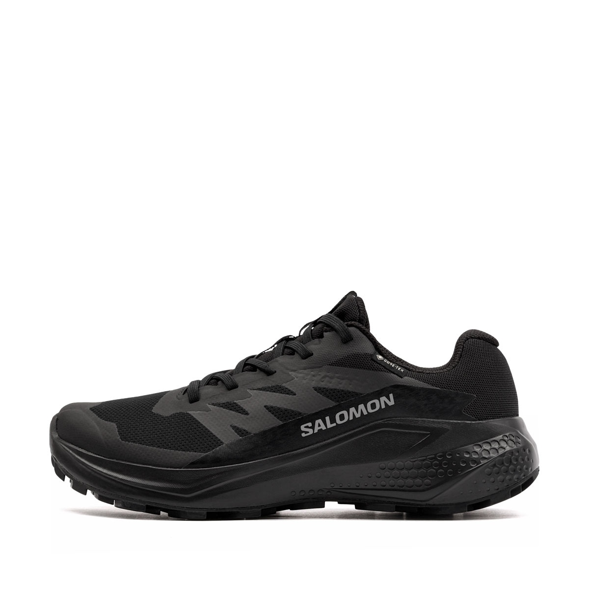 Salomon Alphaglide Gore-Tex Adidași damă 492144