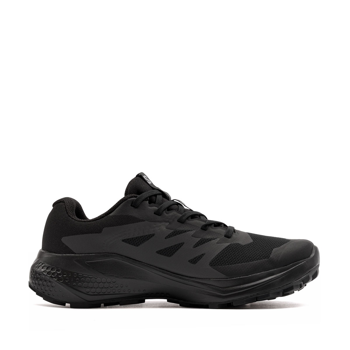 Salomon Alphaglide Gore-Tex Adidași damă 492144