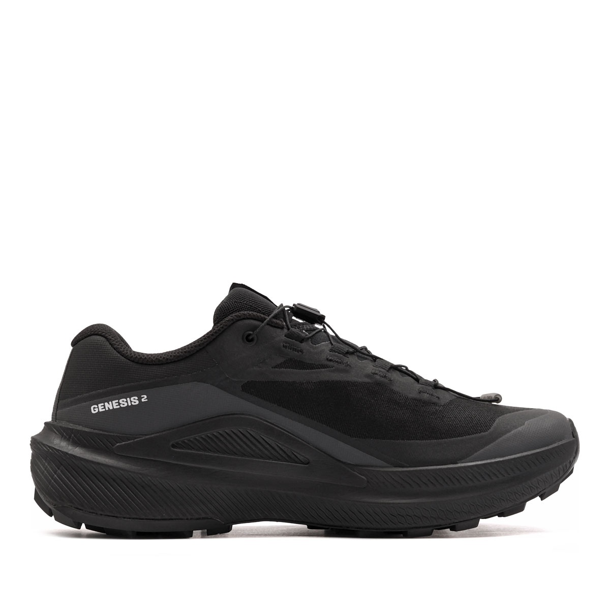 Salomon Genesis 2 Gore-Tex Adidași bărbați 493003