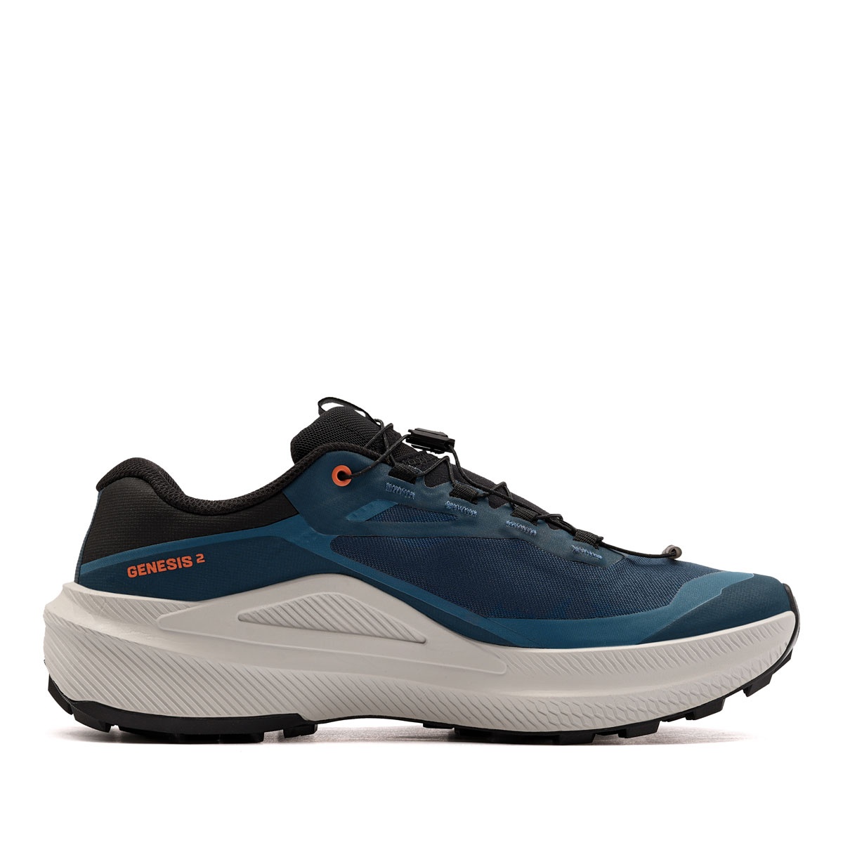 Salomon Genesis 2 Gore-Tex Adidași bărbați 493014