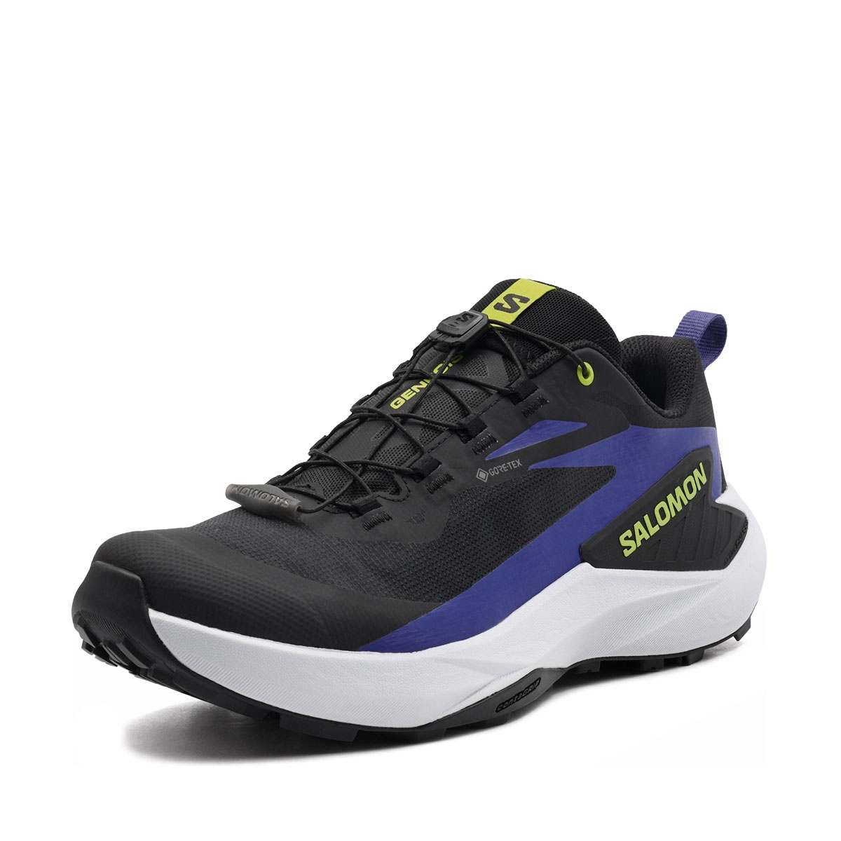 Salomon Genesis Gore-Tex Adidași bărbați 492214