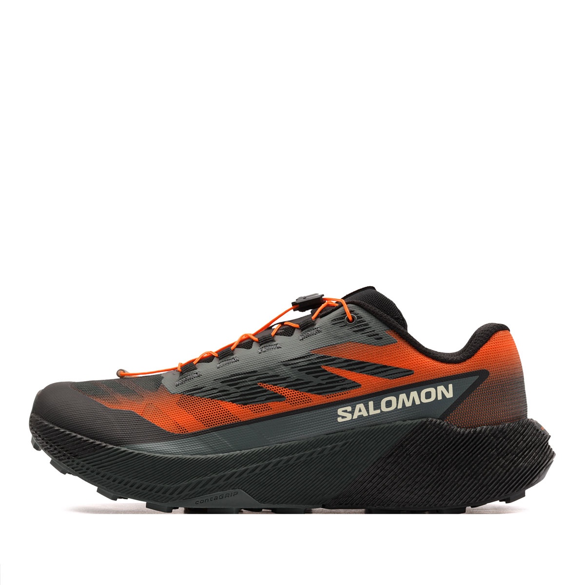 Salomon Pulsar Quiver Adidași bărbați 454336