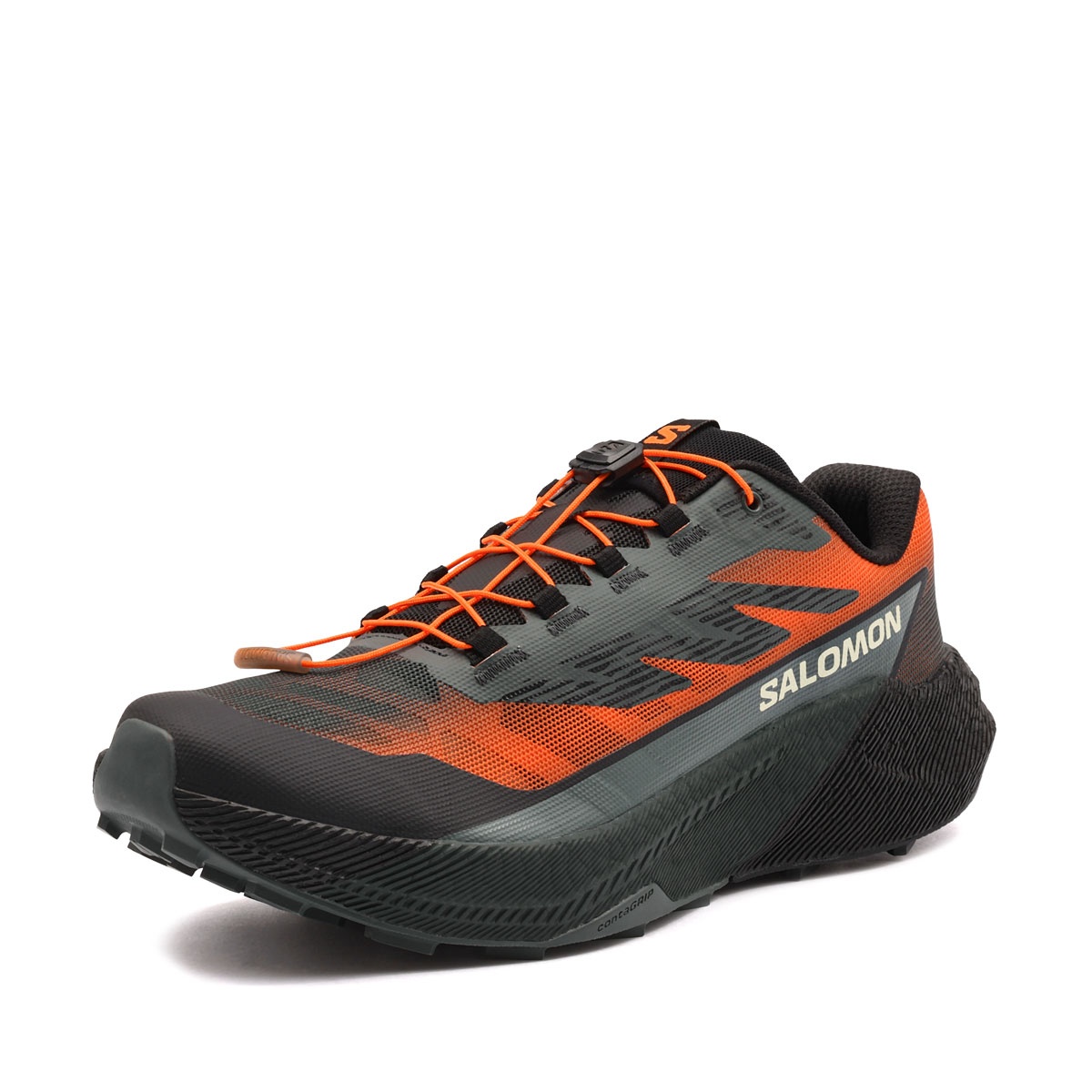 Salomon Pulsar Quiver Adidași bărbați 454336