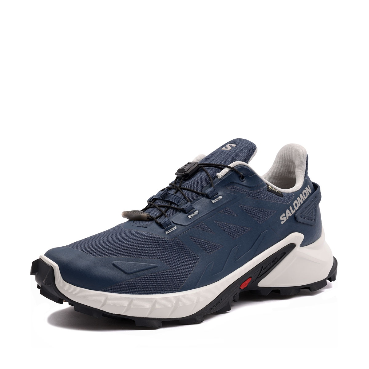 Salomon Supercross 4 Gore-Tex Adidași bărbați 454474