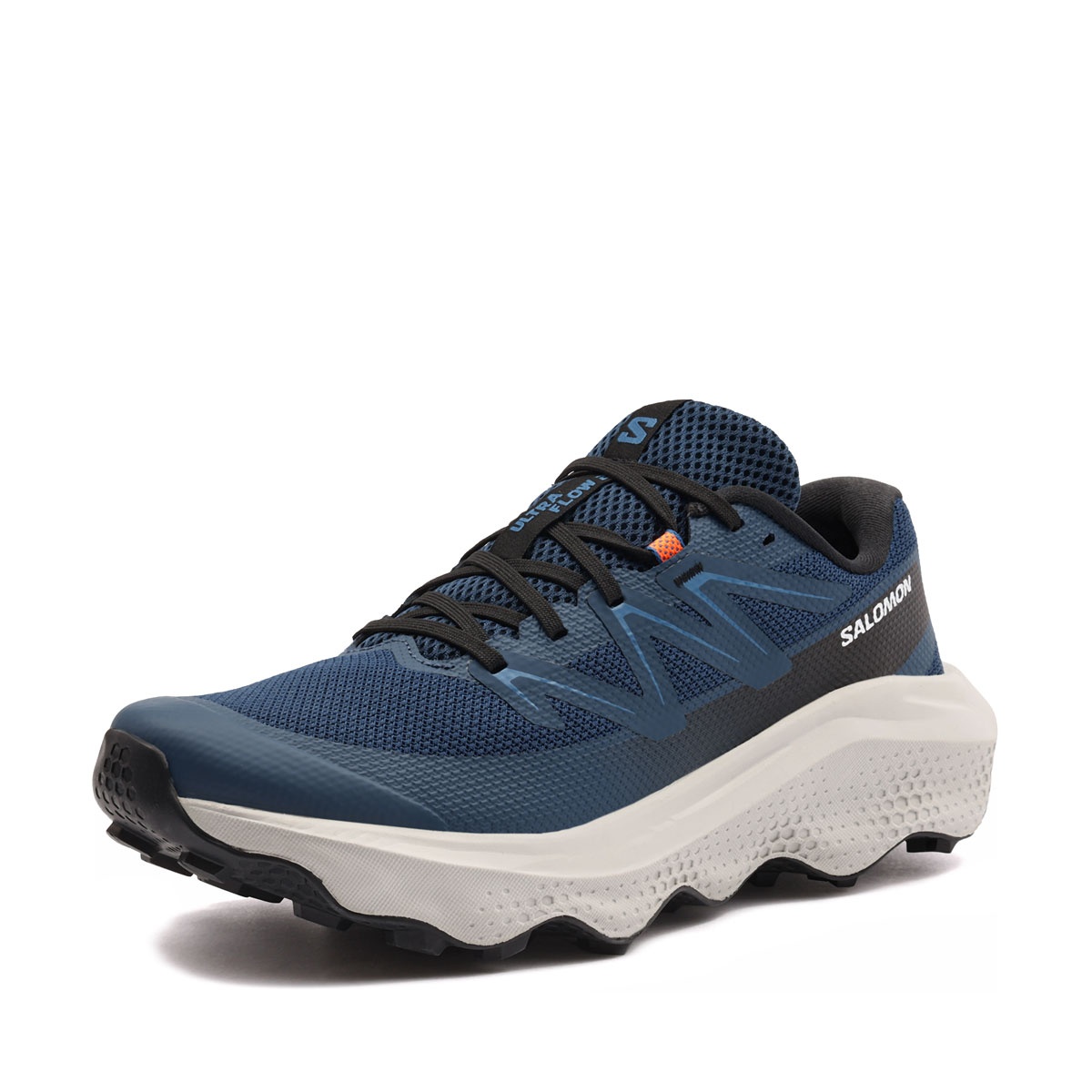 Salomon Ultra Flow 2 Adidași bărbați 492994