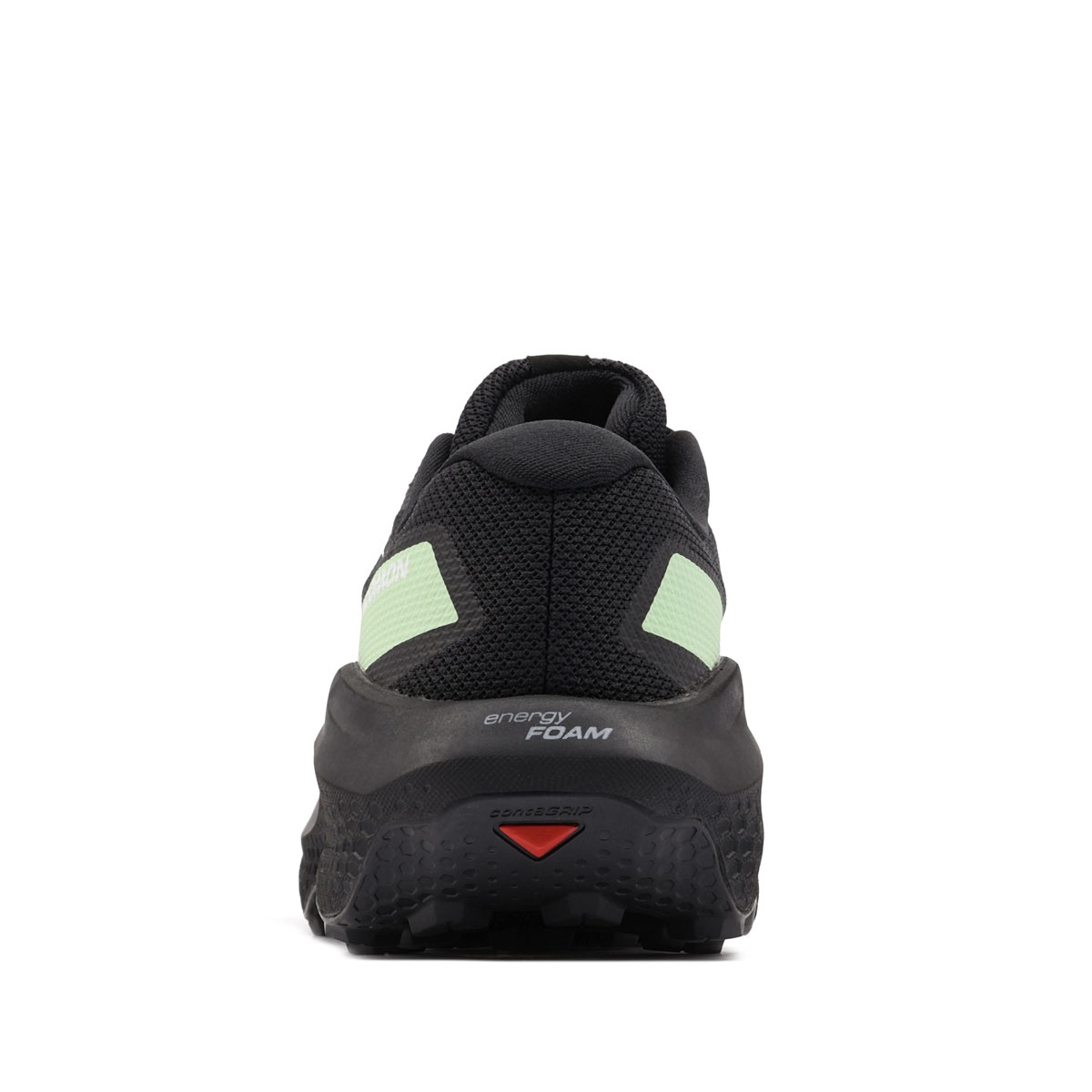 Salomon Ultra Flow 2 Gore-Tex Adidași bărbați 479814