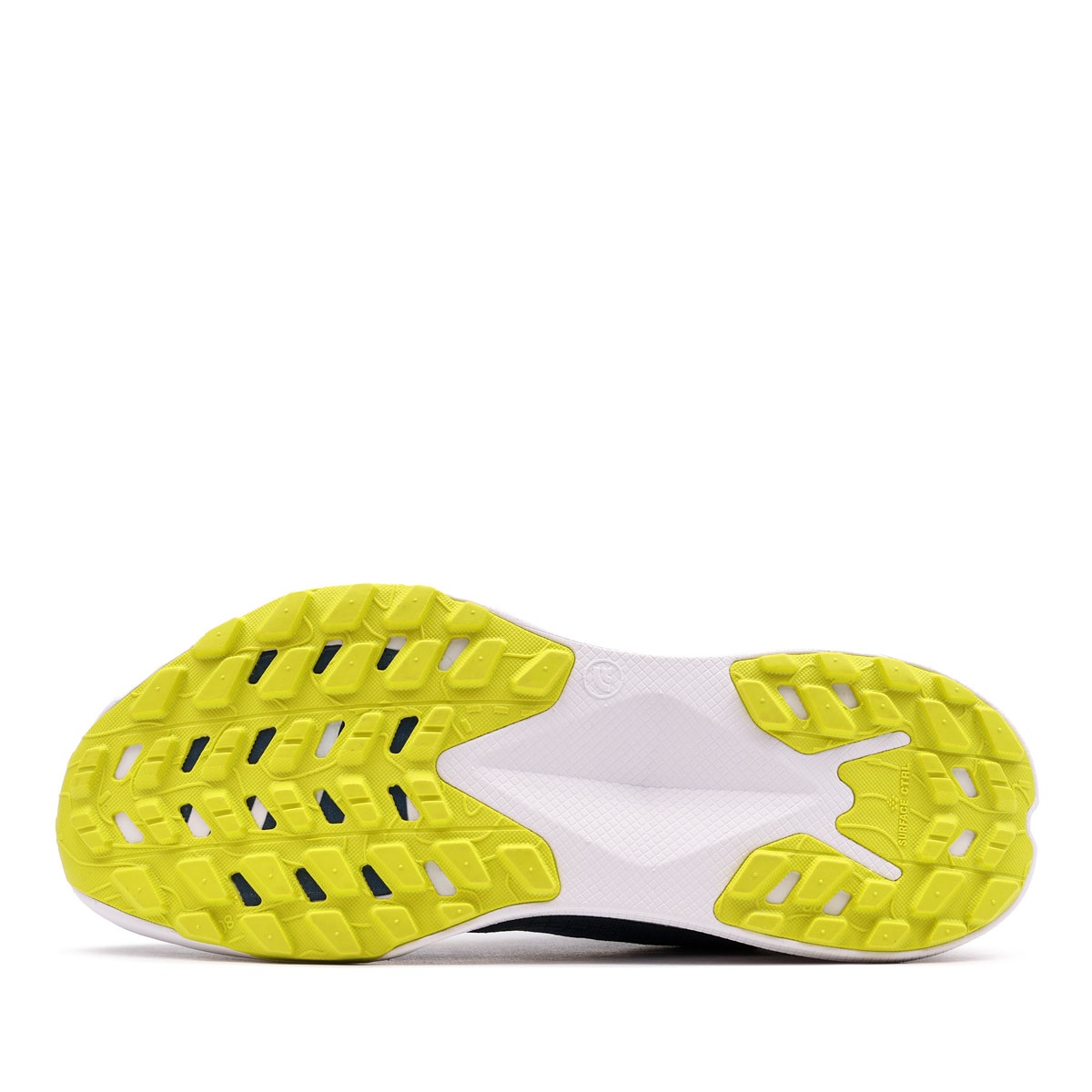 The North Face Altamesa 300 Adidași bărbați NF0A8A9R926