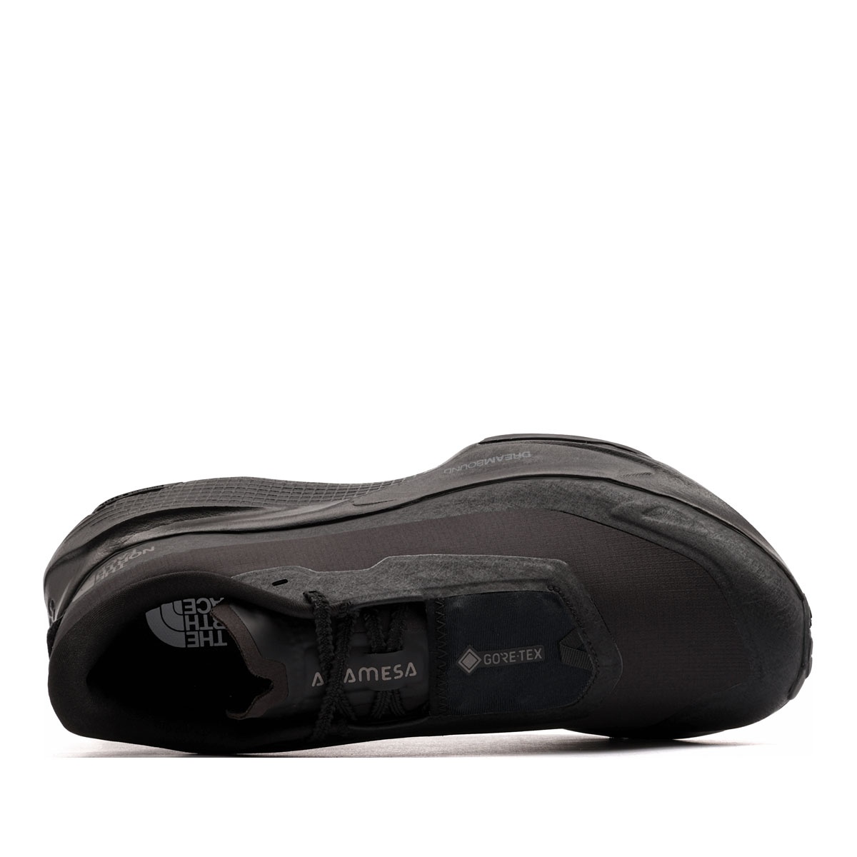 The North Face Altamesa 500 v2 Gore-Tex Adidași bărbați NF0A8G4DKX7