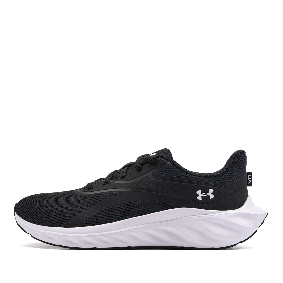 Under Armour Ascend Adidași bărbați 6009827-001