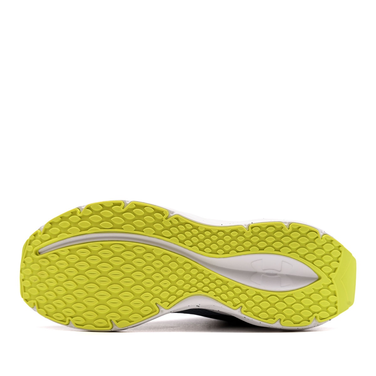 Under Armour Ascend Adidași bărbați 6009827-004