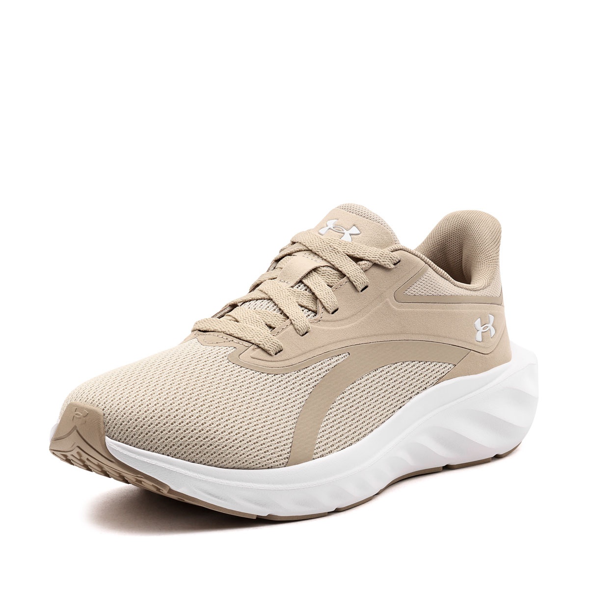 Under Armour Ascend Adidași bărbați 6009827-289