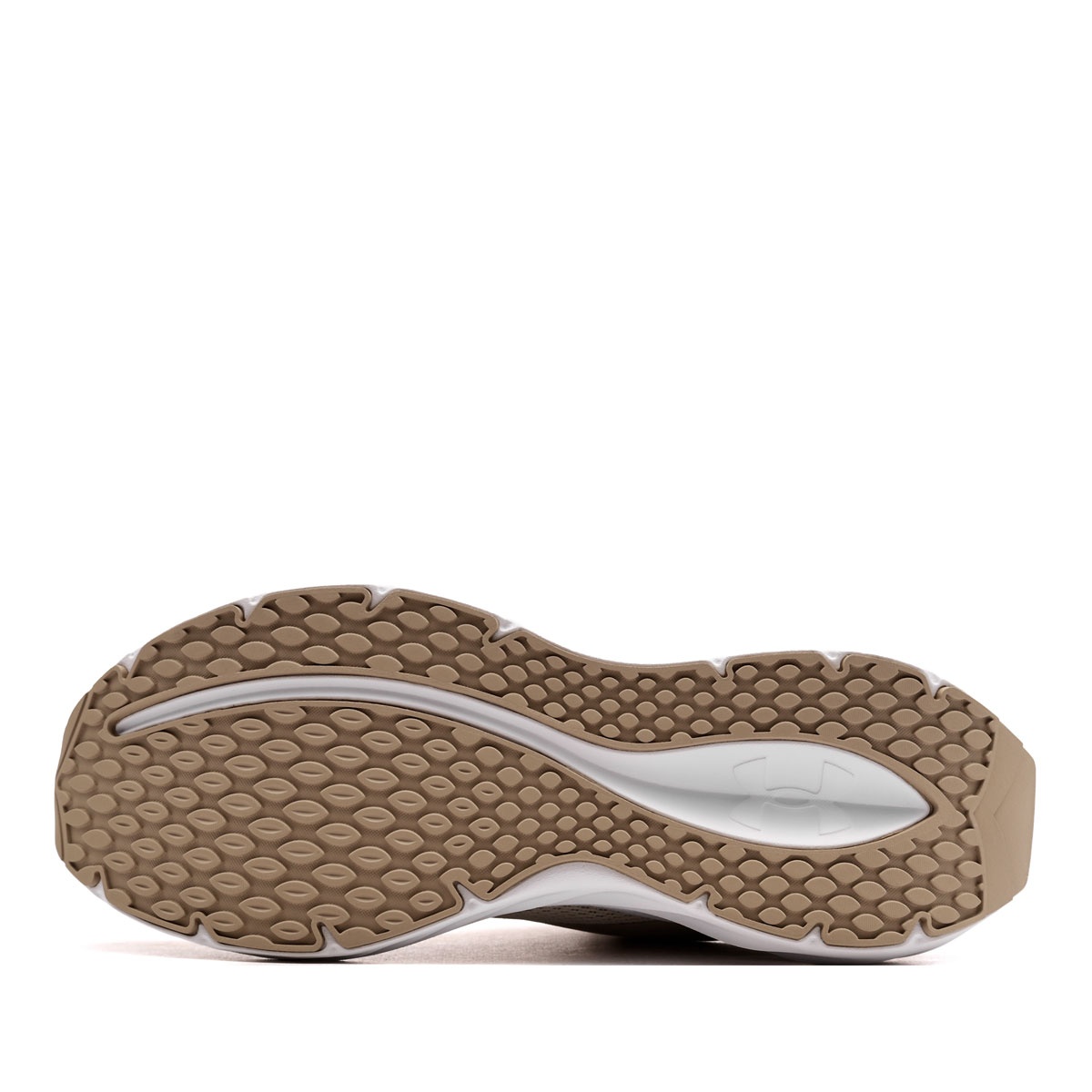 Under Armour Ascend Adidași bărbați 6009827-289