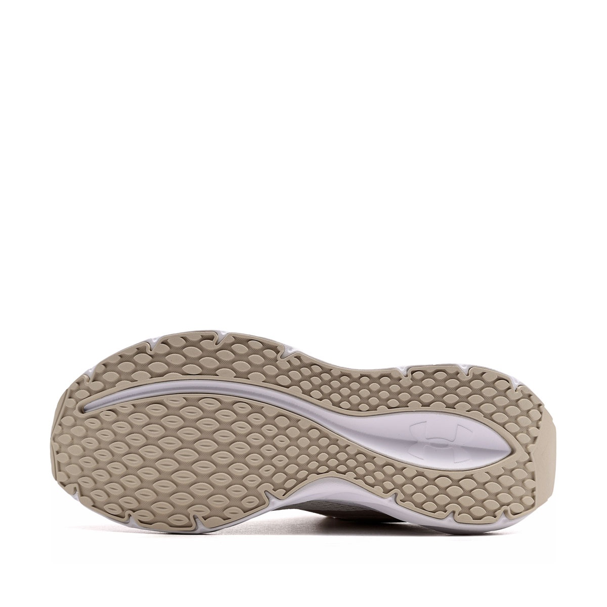 Under Armour Ascend Adidași damă 6009828-110