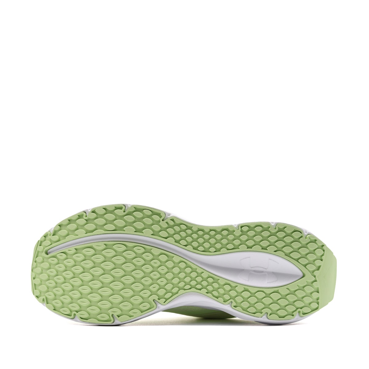 Under Armour Ascend Adidași damă 6009828-391