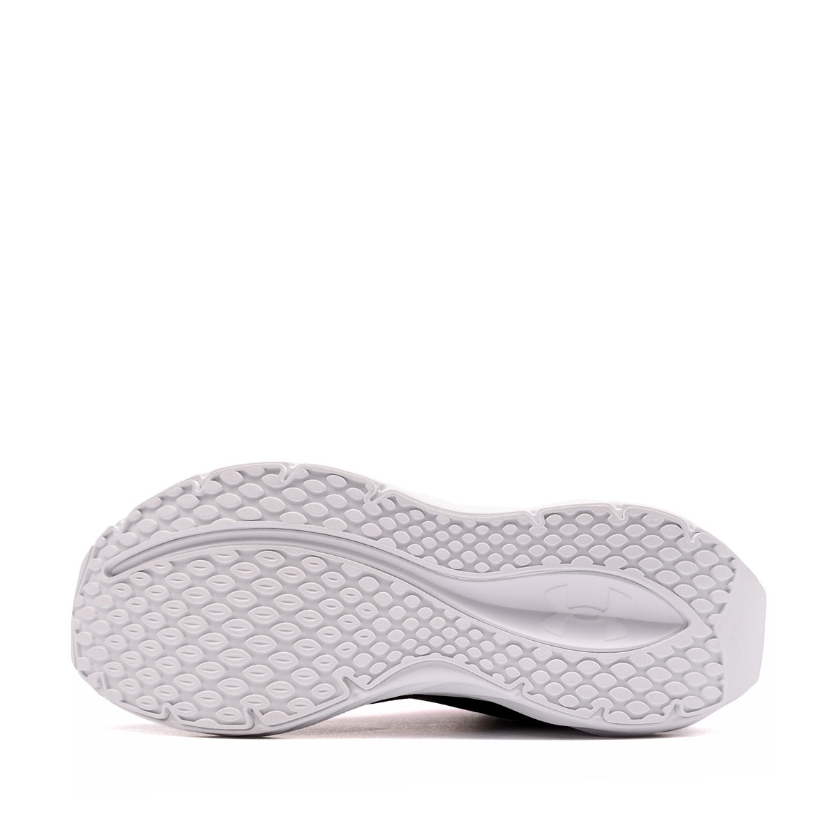 Under Armour Ascend Adidași 6010475-001