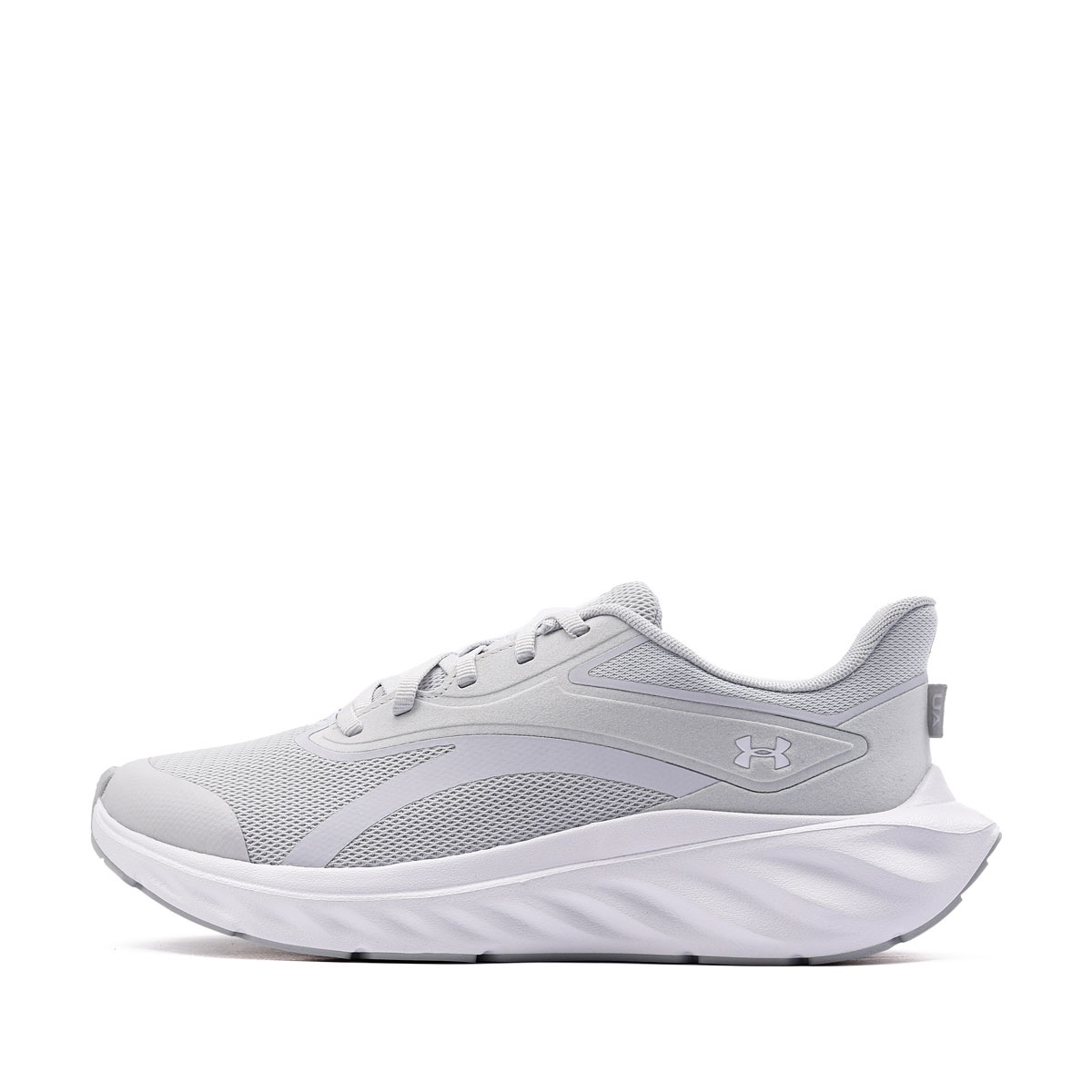 Under Armour Ascend Adidași 6010475-014