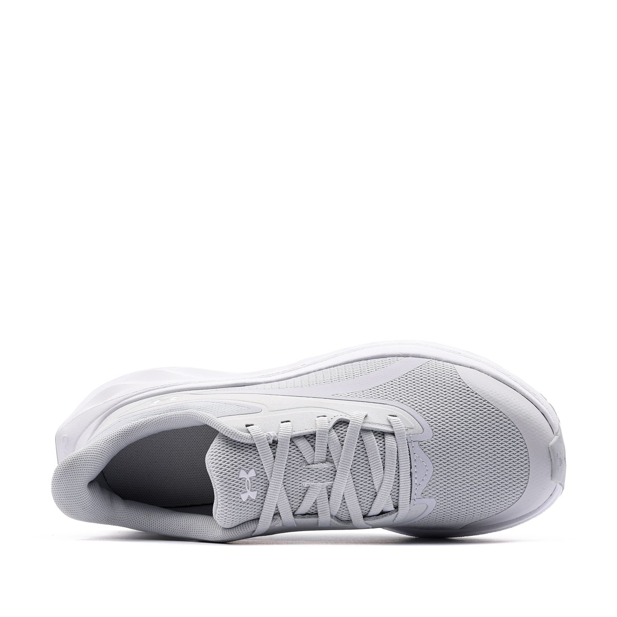 Under Armour Ascend Adidași 6010475-014