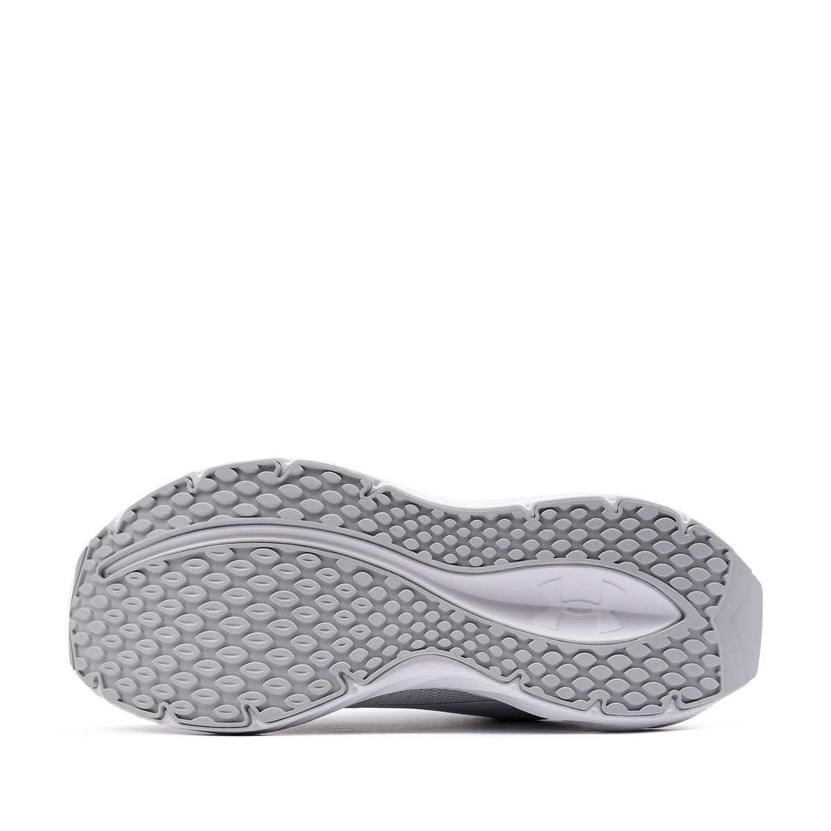 Under Armour Ascend Adidași 6010475-014