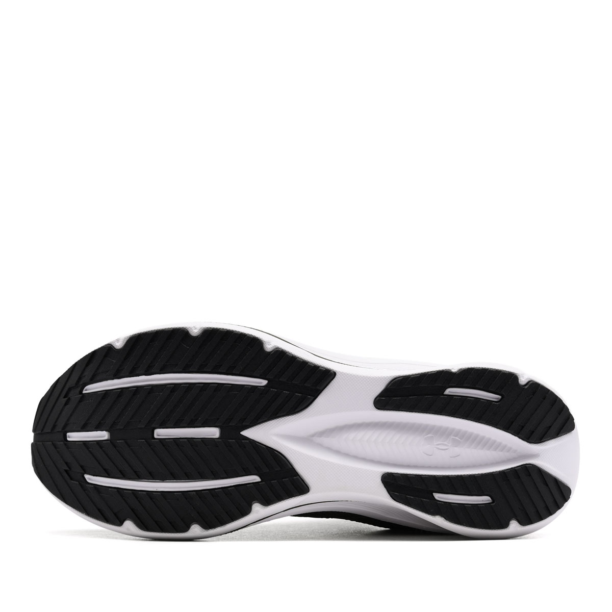 Under Armour Assert 11 Adidași bărbați 6006723-390