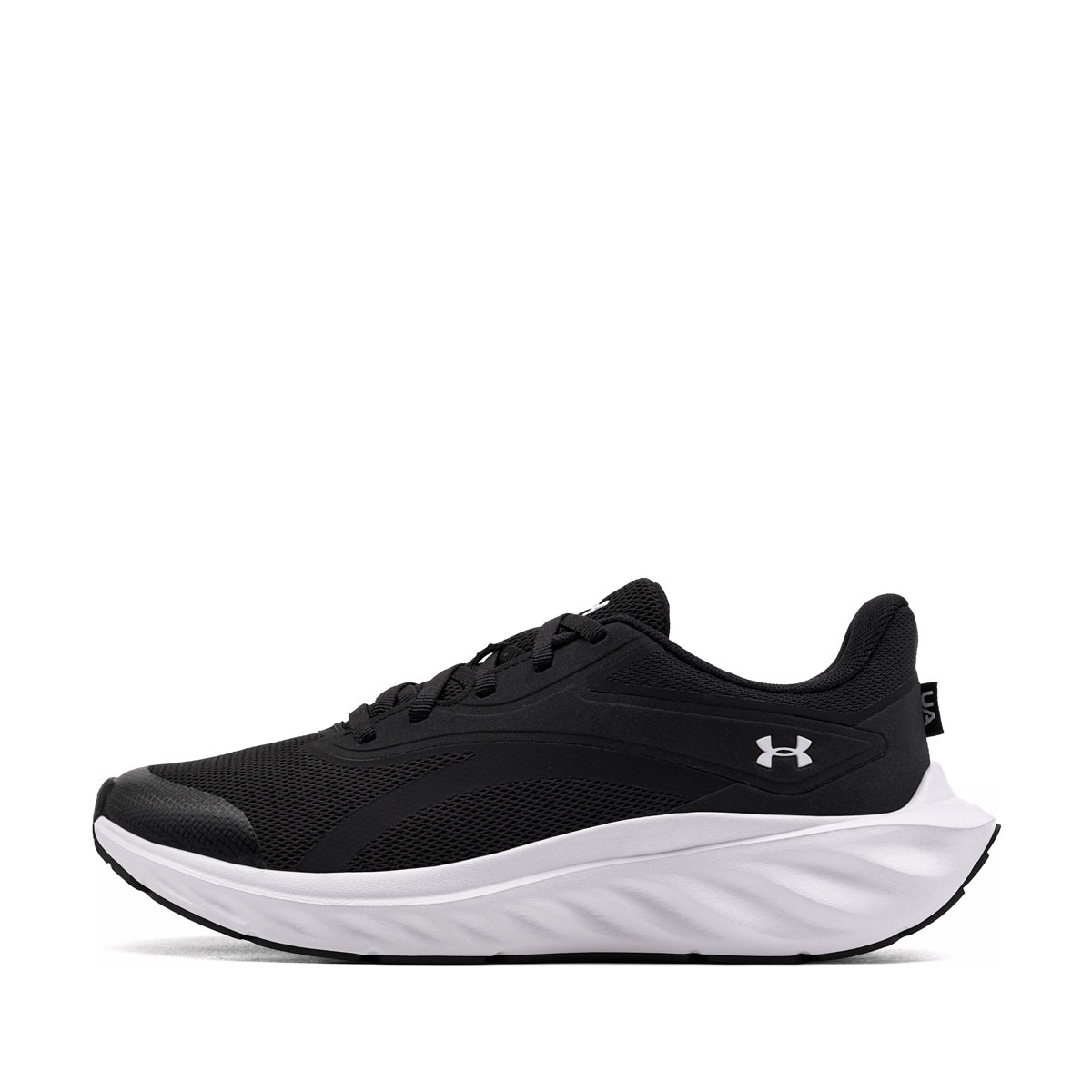 Under Armour Ascend Adidași 6010472-001
