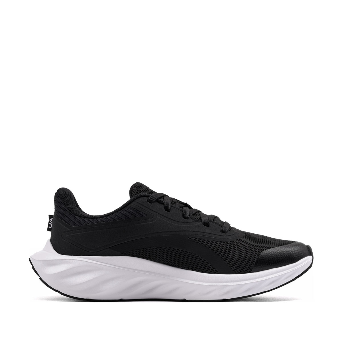 Under Armour Ascend Adidași 6010472-001