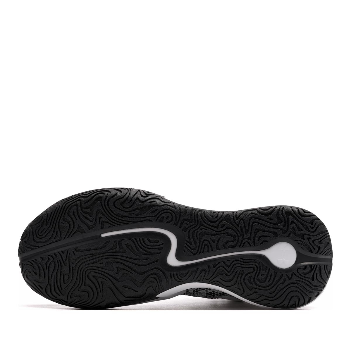 Under Armour Curry 3Z 25 Adidași 6000749-100