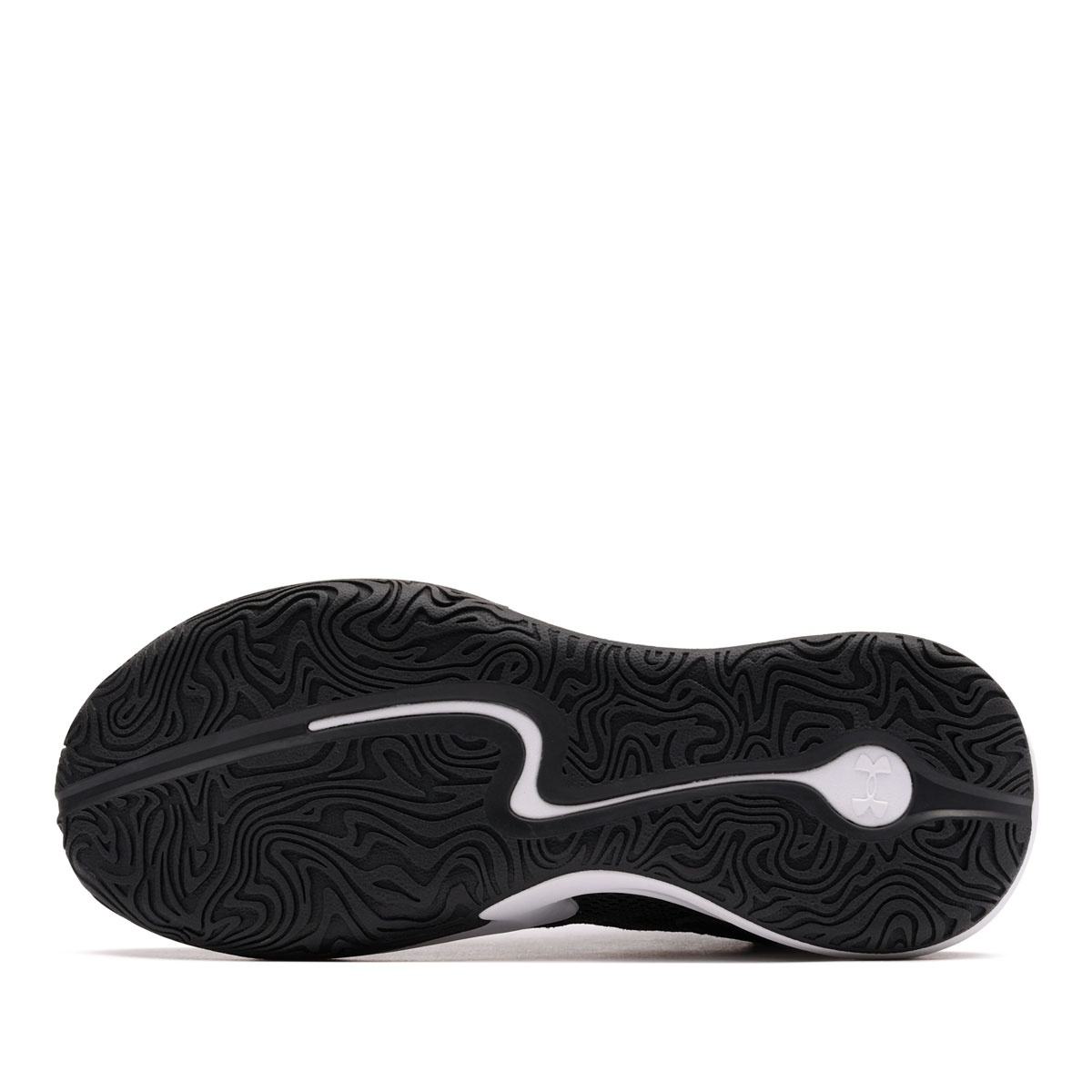 Under Armour Curry 3Z 25 SDE Adidași bărbați 6000750-002