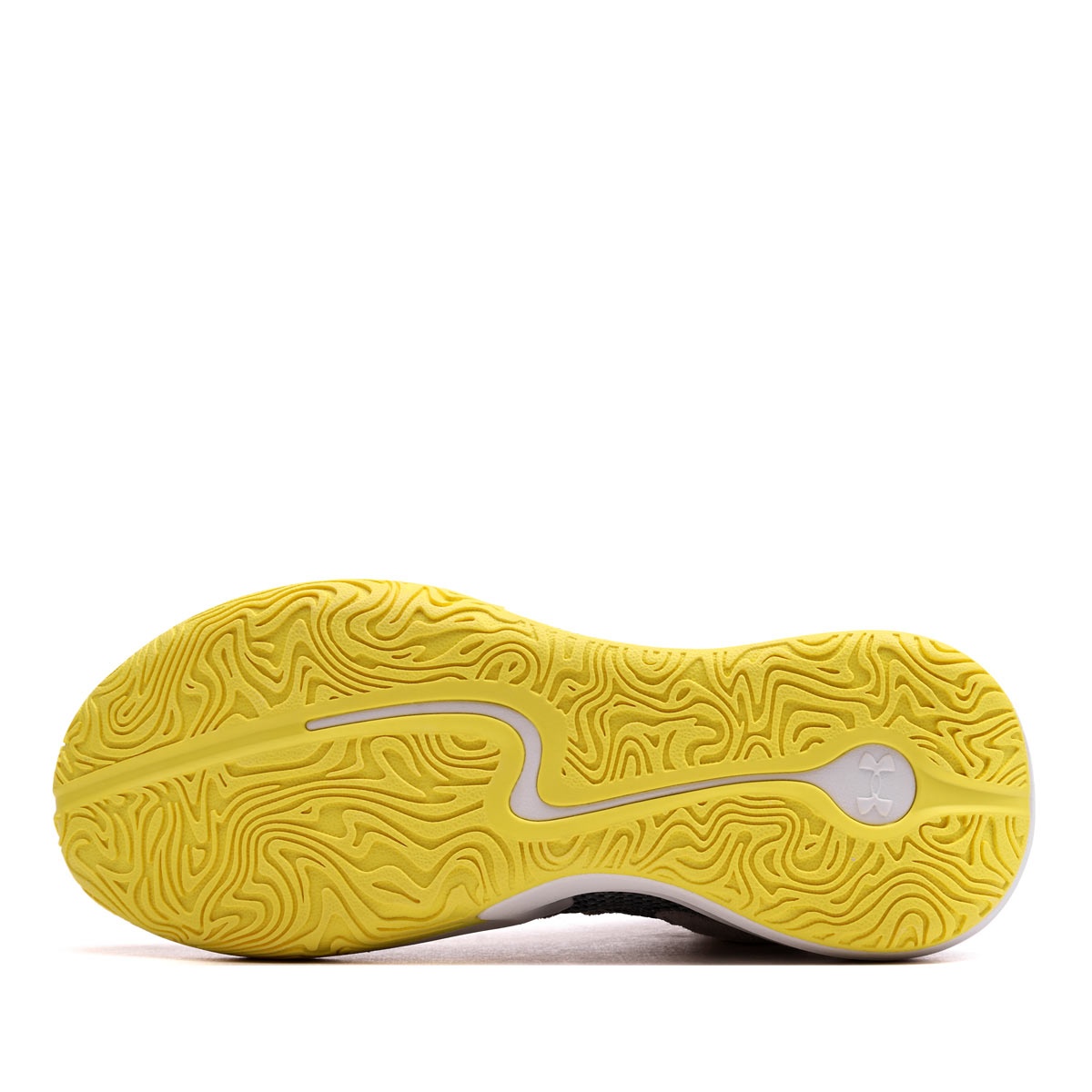 Under Armour Curry 3Z 25 SDE Adidași bărbați 6000750-015