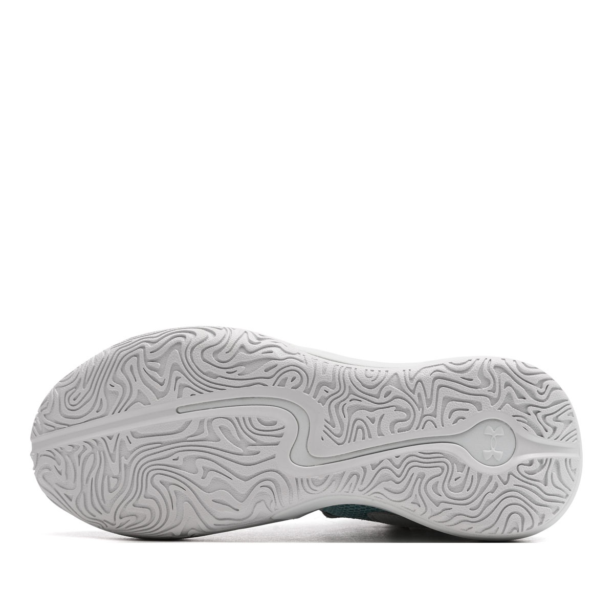 Under Armour Curry 3Z 25 SDE Adidași bărbați 6000750-703