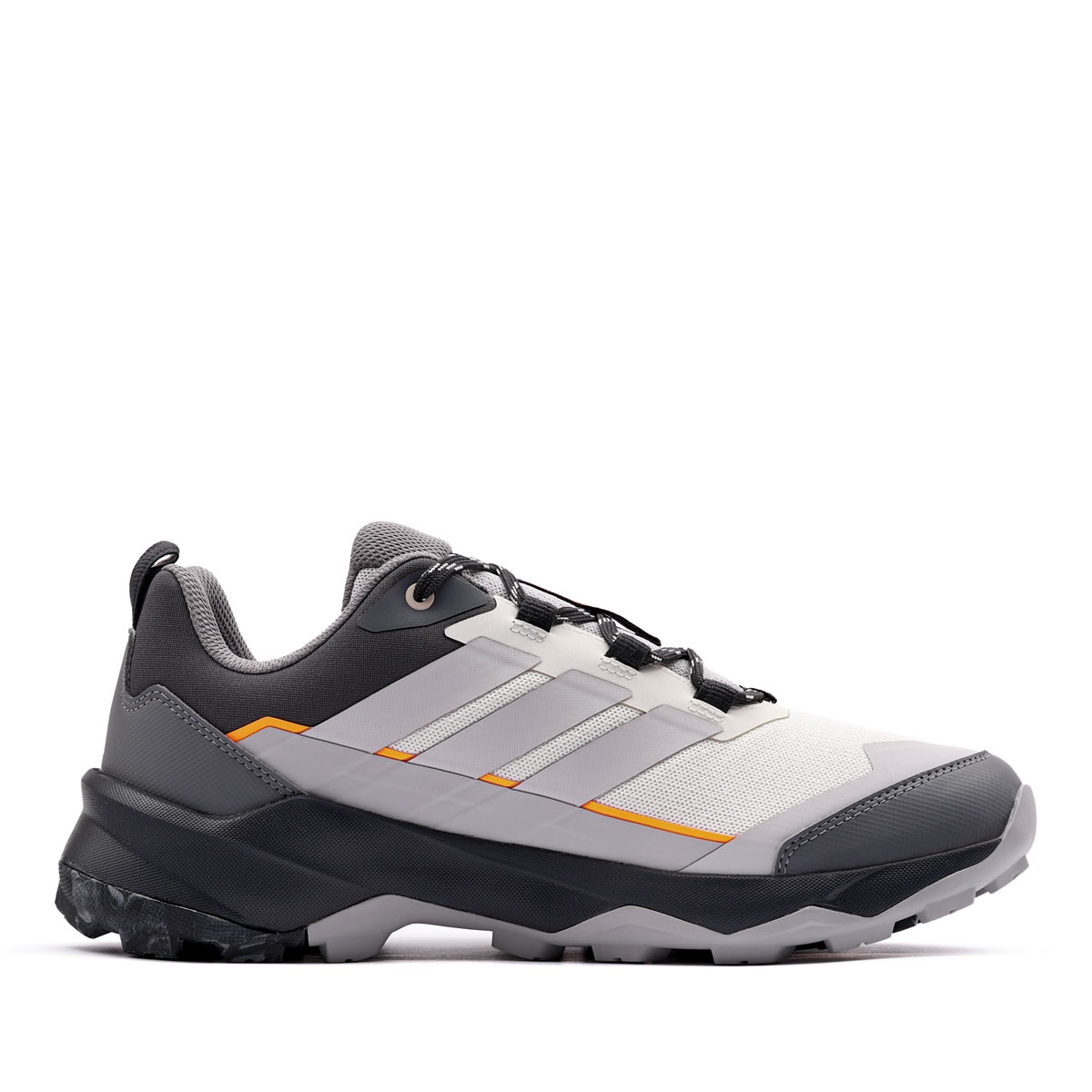 adidas Terrex Skychaser AX5 Pantofi sport bărbați JR3977