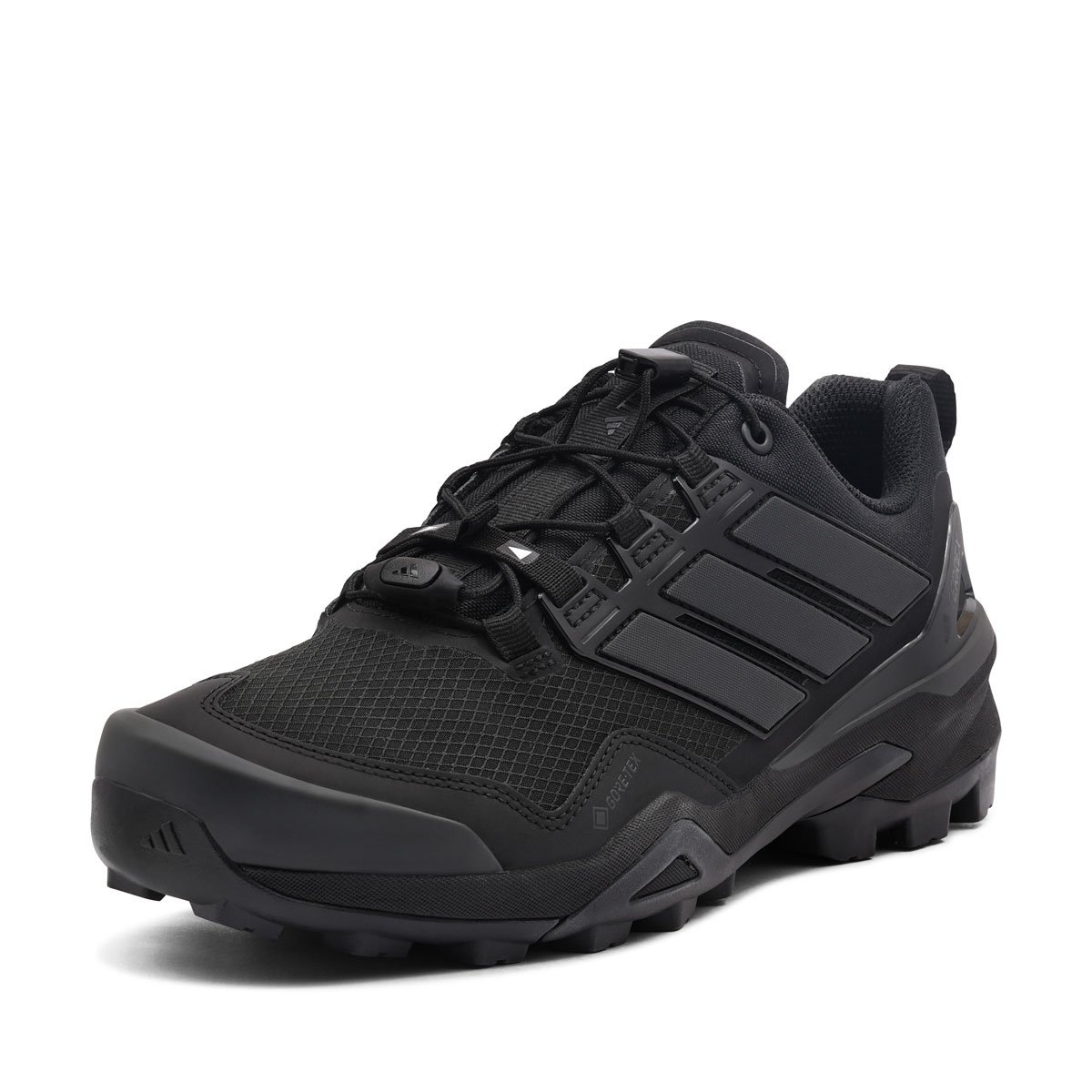 adidas Terrex Skychaser Gore-Tex Pantofi sport bărbați IH1093