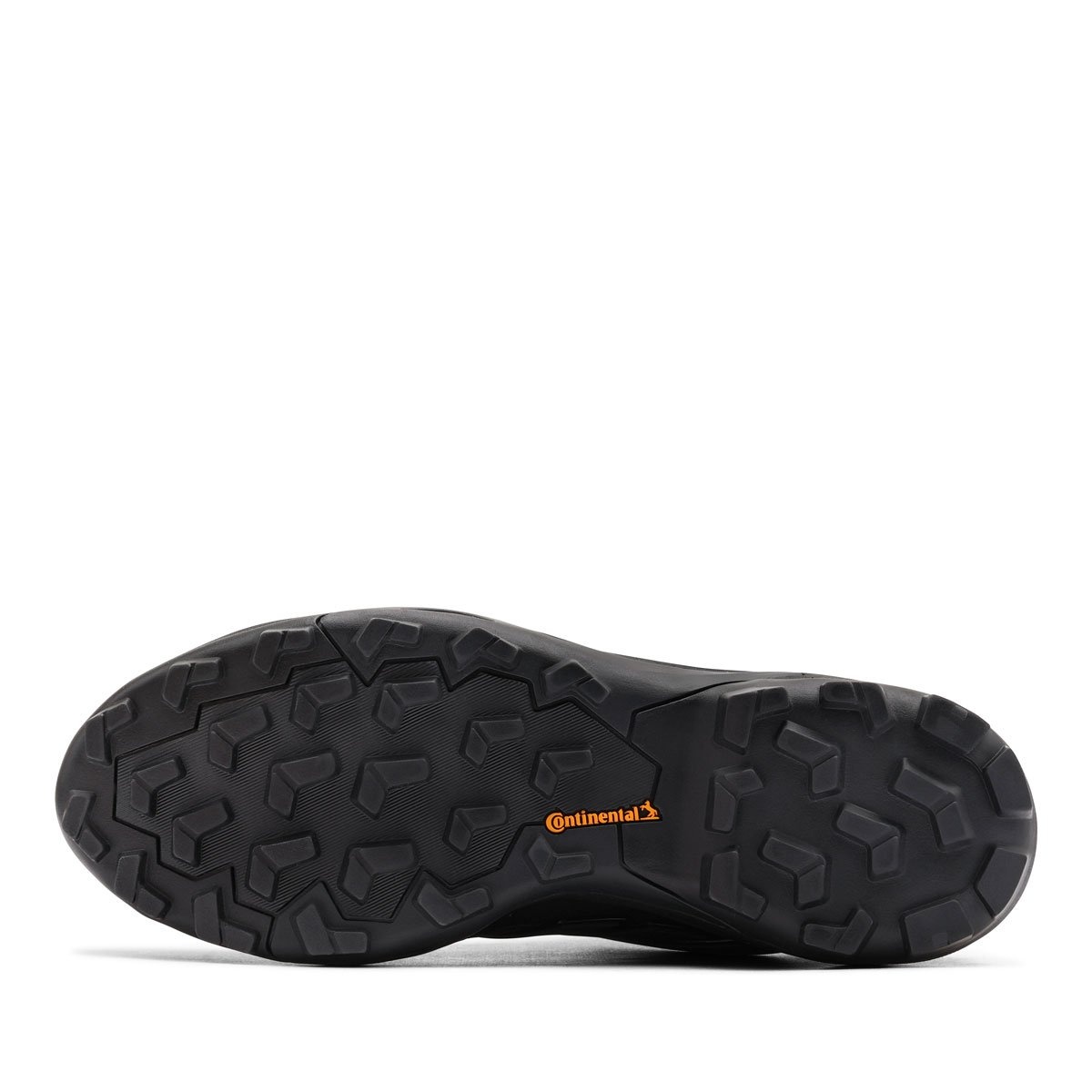 adidas Terrex Skychaser Gore-Tex Pantofi sport bărbați IH1093