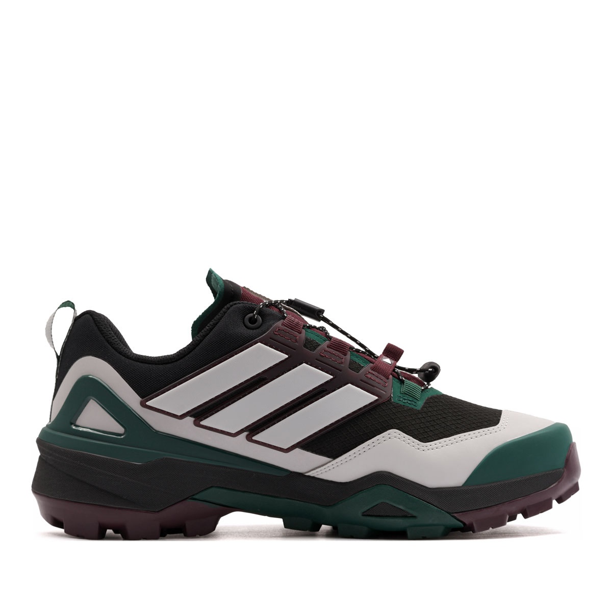 adidas Terrex Skychaser Gore-Tex Pantofi sport bărbați KJ8913