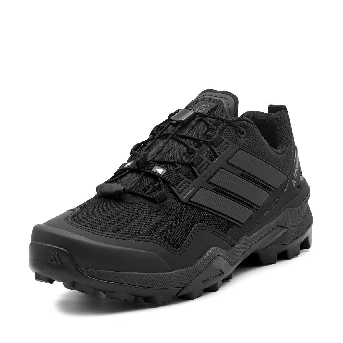 adidas Terrex Skychaser Pantofi sport bărbați JH6384
