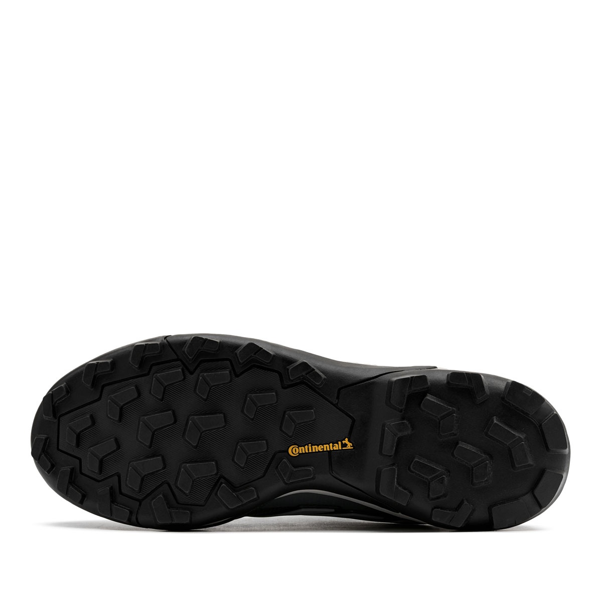 adidas Terrex Skychaser Pantofi sport bărbați JH6386