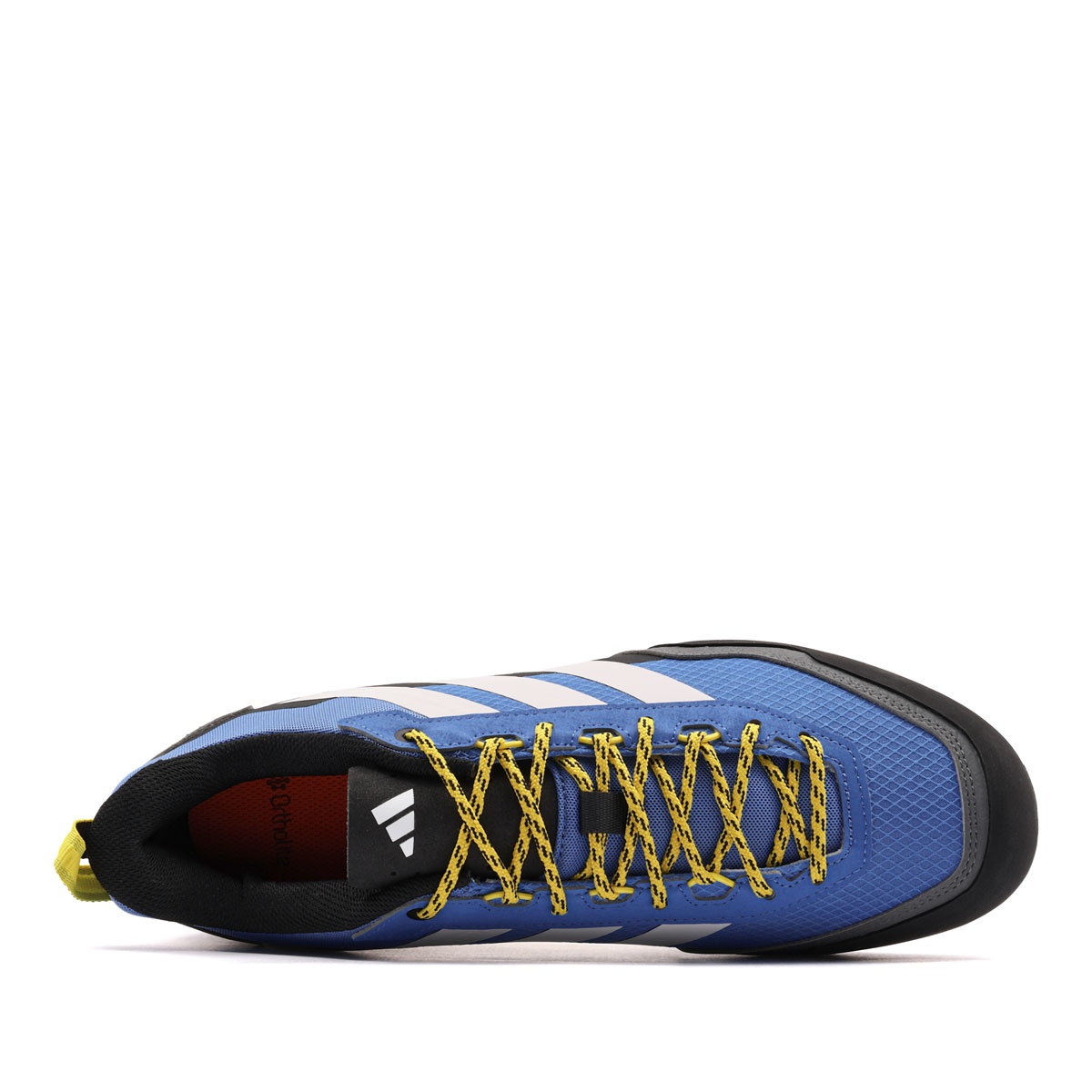 adidas Terrex Skychaser Solo Pantofi sport bărbați JS4330