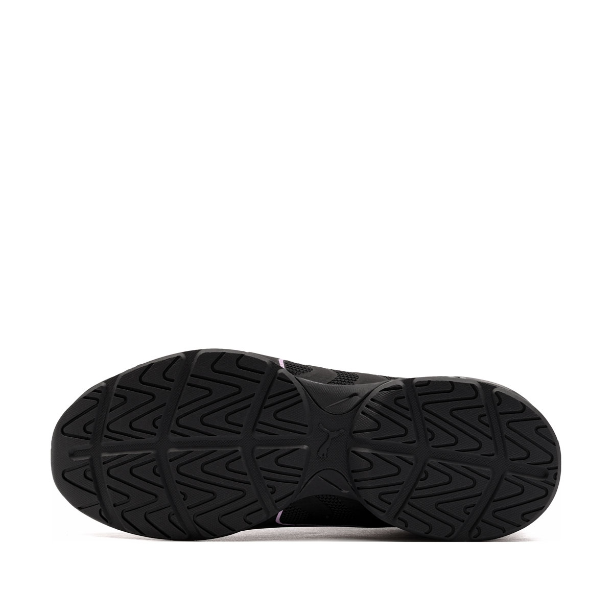 Puma Electro Pantofi sport 312964-11