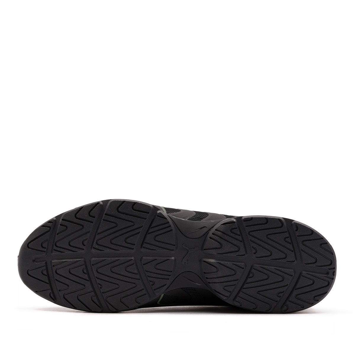 Puma Electro Camo Pantofi sport bărbați 313727-02