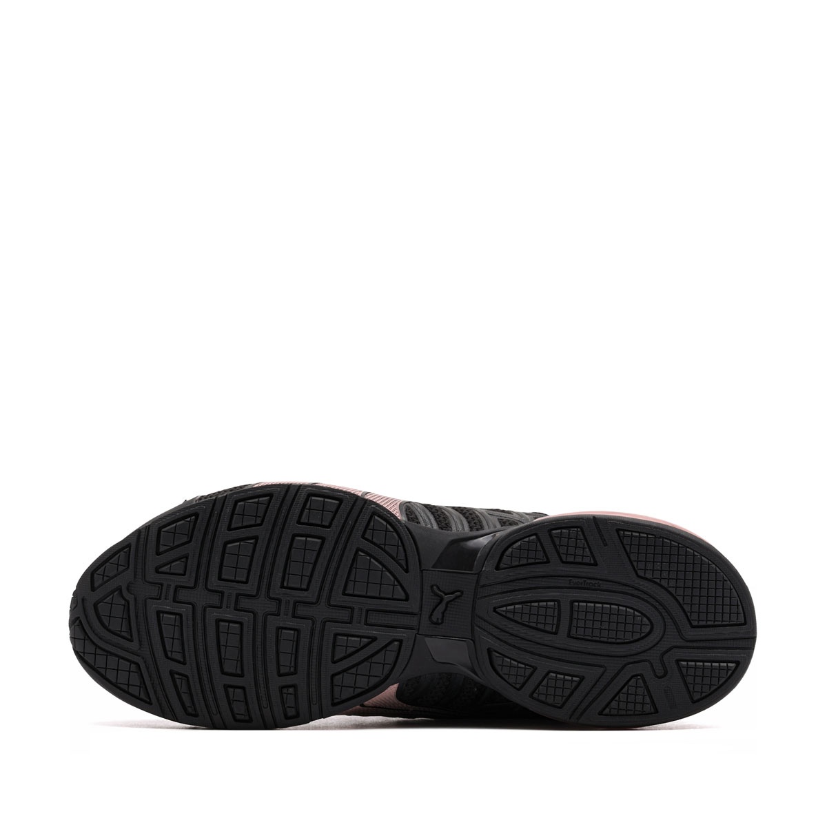 Puma Voltaic Evo Pantofi sport damă 309720-37