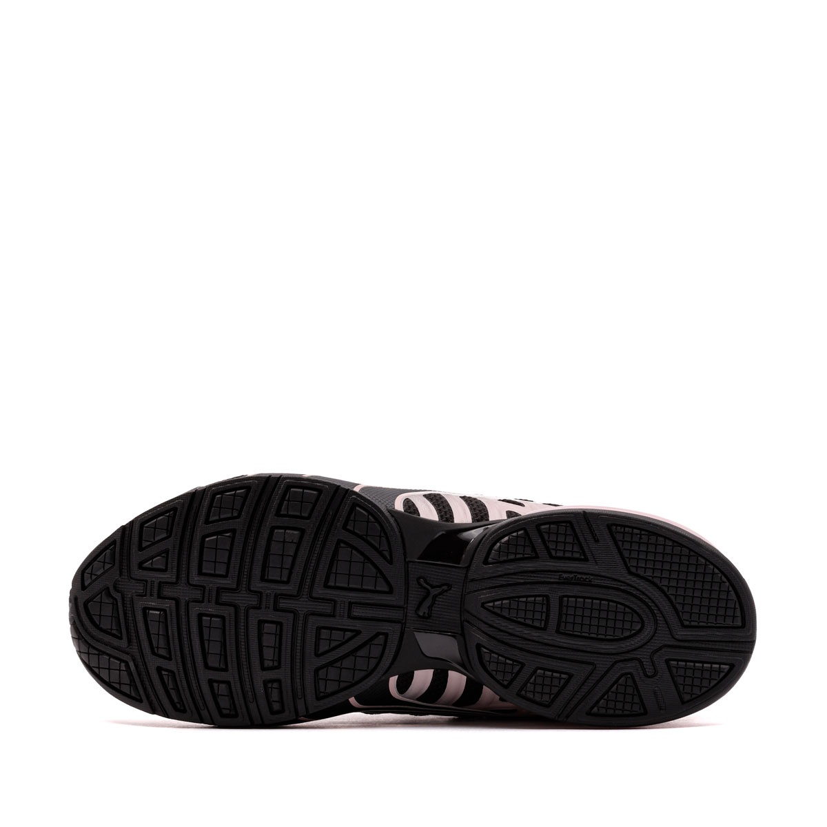 Puma Voltaic Evo Pantofi sport damă 309720-40