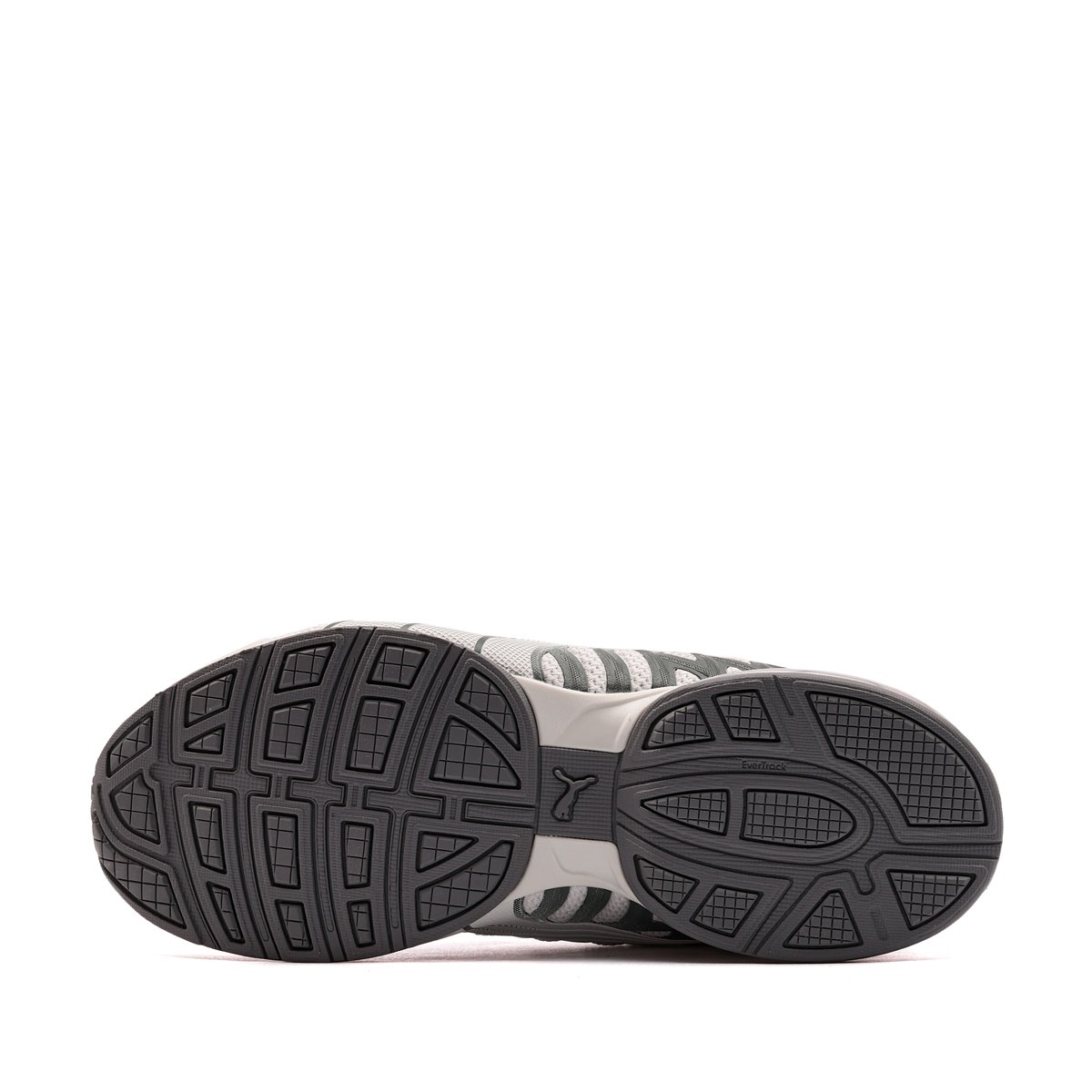 Puma Voltaic Evo Pantofi sport damă 309720-41