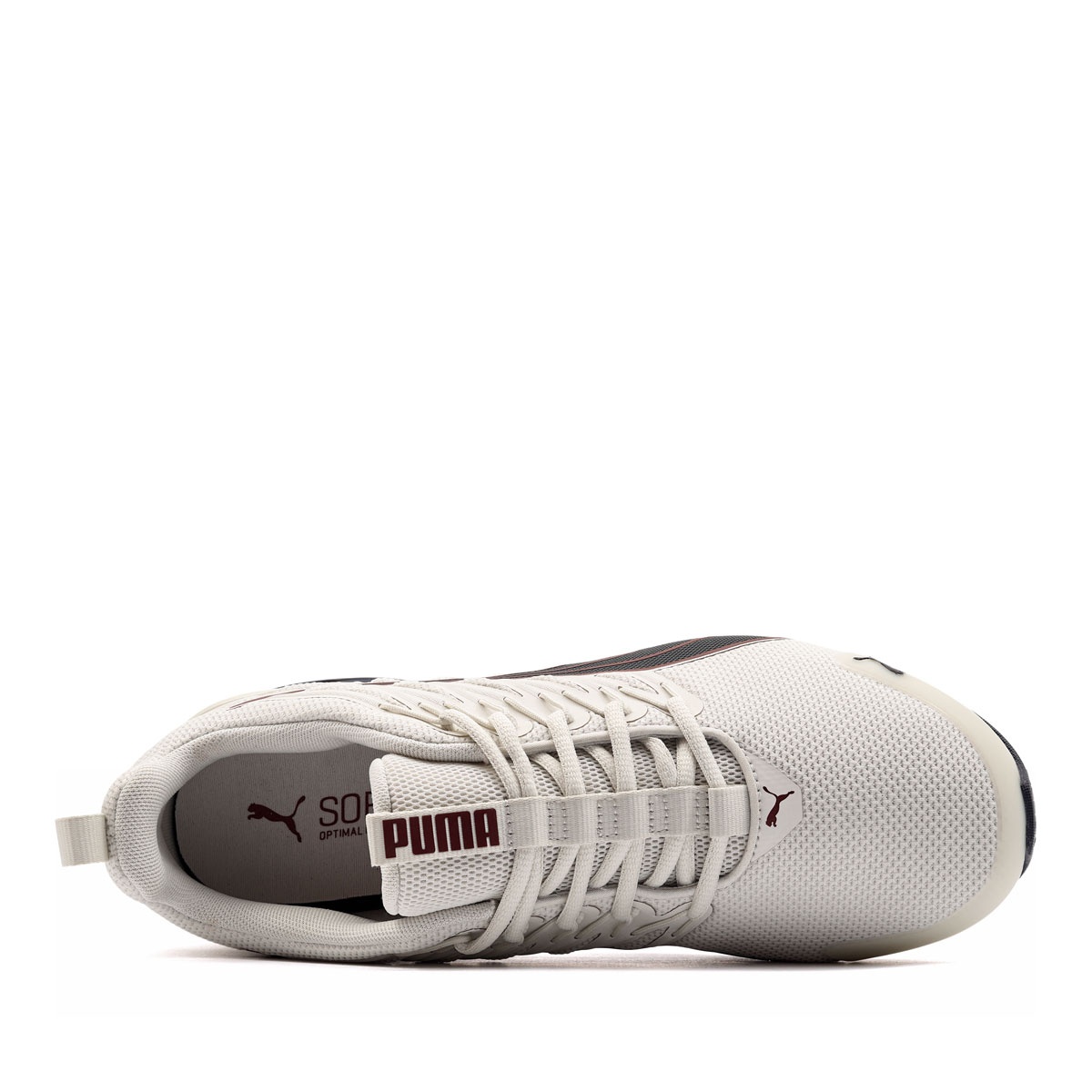 Puma Voltaic Evo Pantofi sport bărbați 379601-41